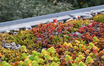 the cost of Brownhills green roof installation