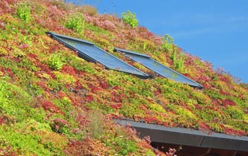 Brownhills living roof systems